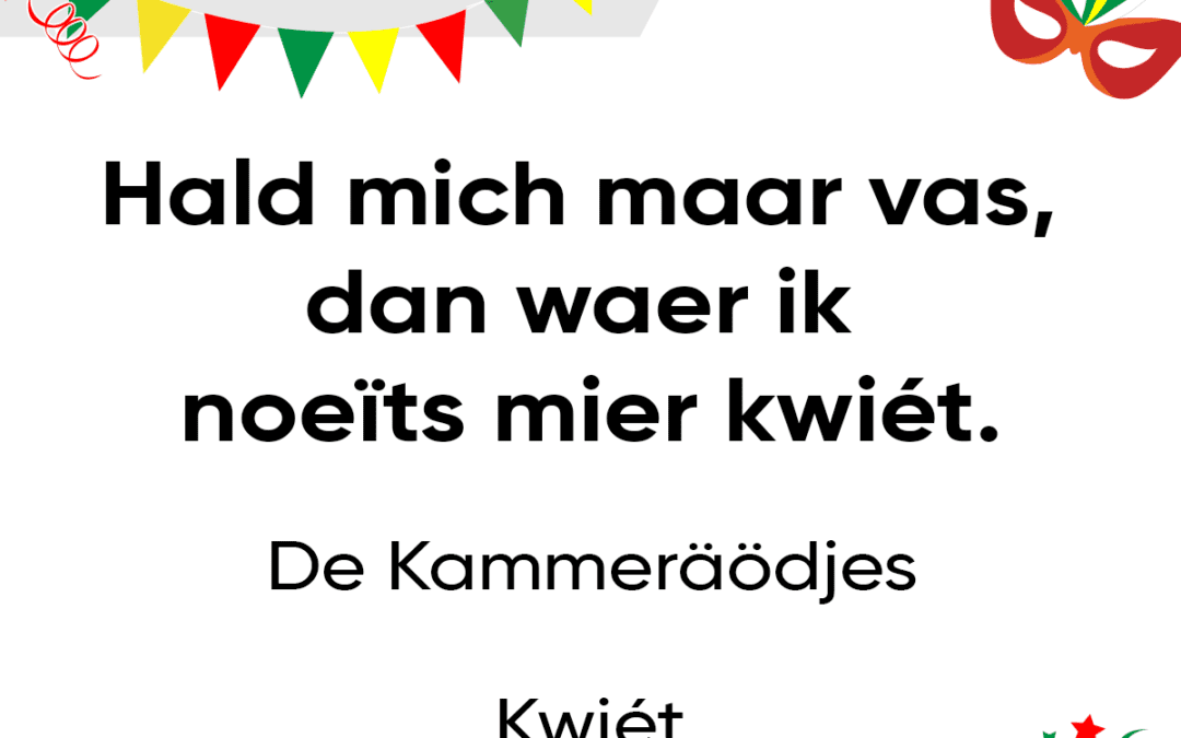 Hald mich maar vas, dan waer ik noeÃ¯ts mier kwiÃ©t.