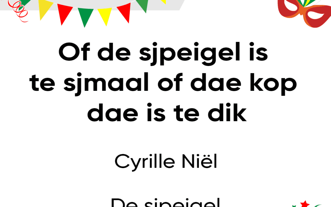 Of de sjpeigel is te sjmaal of dae kop dae is te dik