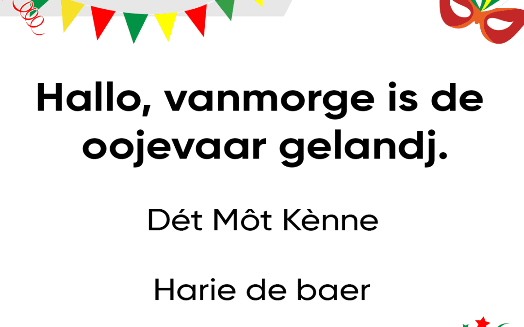 ‘Hallo, vanmorge is de oojevaar gelandj.’