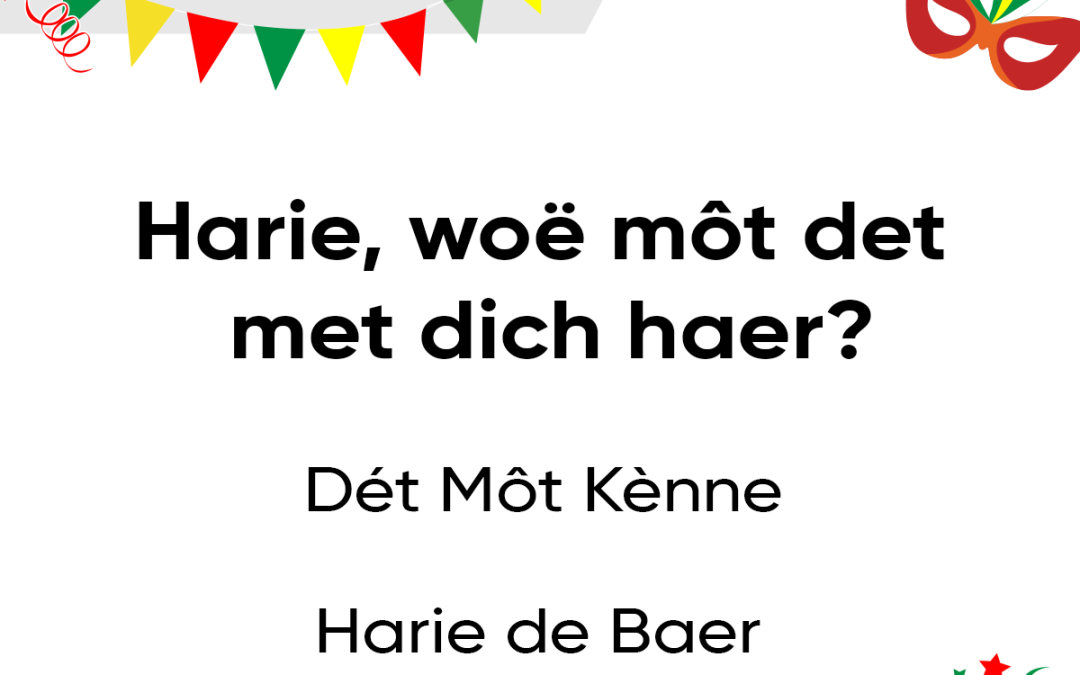 Harie, woë môt det met dich haer?